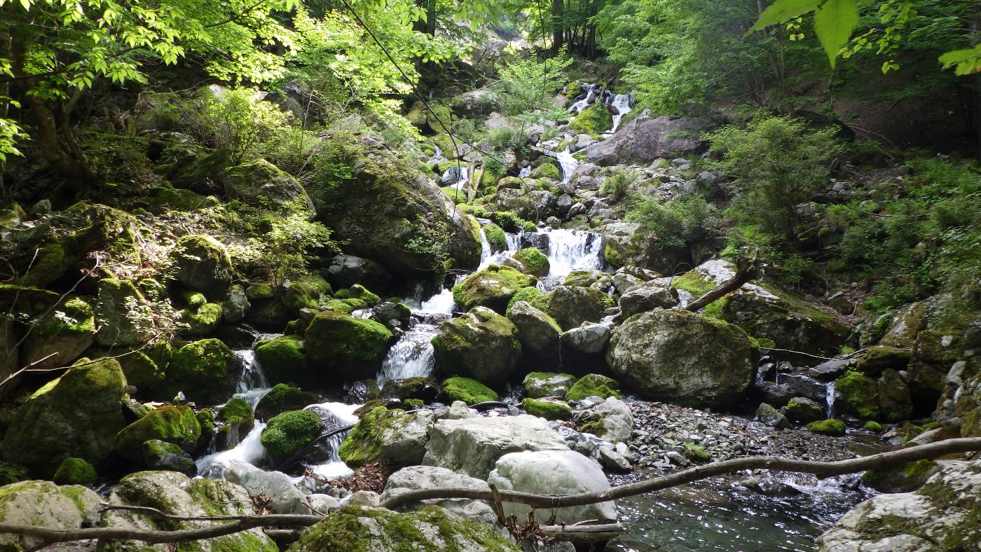 大普賢の源流