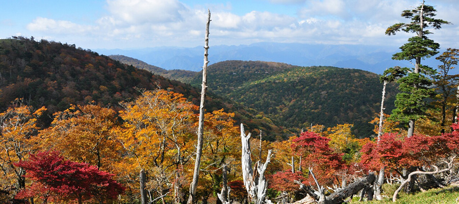 青雲の下、緑豊かな山々が連なり、手前に紅葉が広がっている自然豊かな風景写真