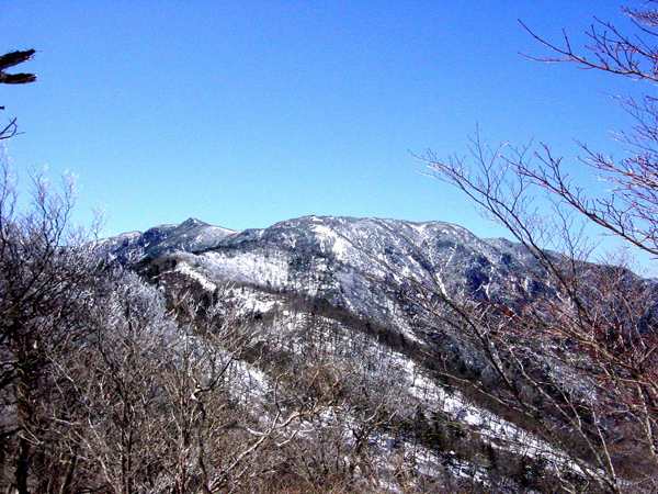 青空の下、雪が積もり真っ白な山と枯れ木の枝が見えている冬景色の写真