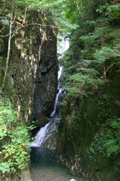 緑の草木やコケが生え、狭い峡谷の間を滝が流れている様子の写真