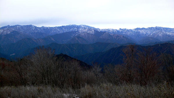 大峯山脈遠望曇り空、奥に雪の積もった山があり、枯れた木々が立ち並ぶ大峯山脈遠望から見る景色の写真