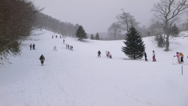 積もった雪の上で沢山の方がスキーを楽しんでいるスキー場の写真