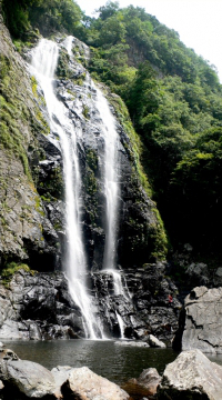 中央から大量の水が流れ落ち、V字谷の景観をつくりだした千尋滝の写真
