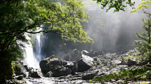 ゴツゴツとした岩があり、大きな木の後ろに流れ落ちる千尋滝の写真