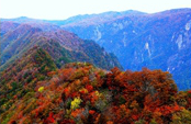 中の滝の周辺から見える山と染まった紅葉の写真