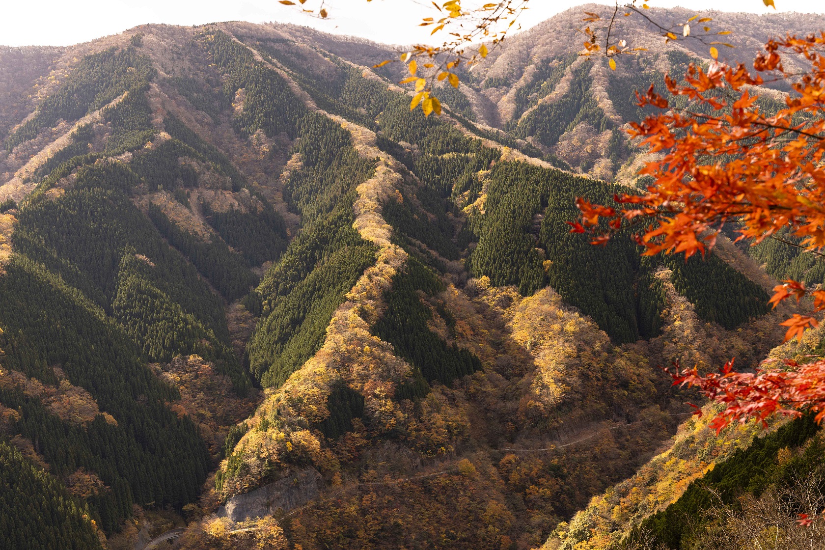 令和6年ナメゴ谷の紅葉に係る国道309号線の時間規制について／上北山村