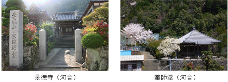 左：手前に石柱が設置され、通路の先に影徳寺（河合）の建物が建っている写真、右：後方を木々に囲まれ、ピンクや白い花の咲いた木々の横に薬師堂（河合）の建物が建っている写真