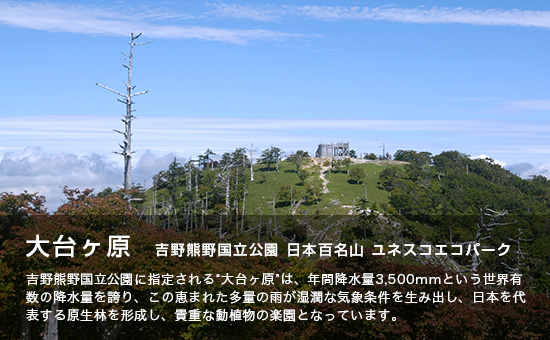 大台ケ原 吉野熊野国立公園 日本百名山 ユネスコエコパーク 吉野熊野国立公園に指定される”大台ケ原”は、年間降水量3,500ミリメートルという世界有数の降水量を誇り、この恵まれた多量の雨が湿潤な気象条件を生み出し、日本を代表する原生林を形成し、貴重な動植物の楽園となっています。（ところどころ枯れ木や樹木が広がる山頂に展望台が設置されている写真）